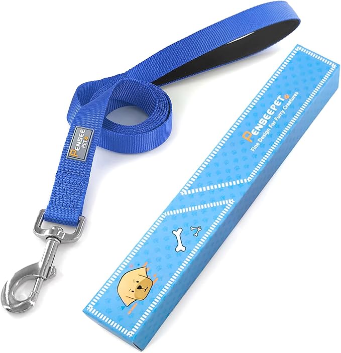 Basic Dog Leashes 6 FT Padded Handle Nylon Dogs Leashes for Small Dogs Blue