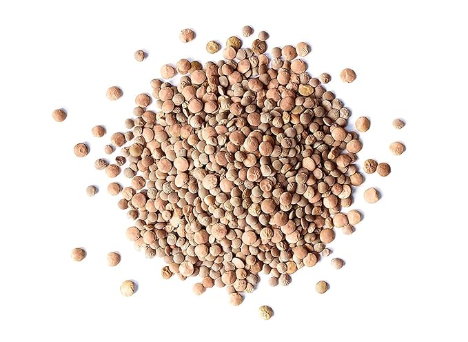 Food to Live - Whole Red Lentils, 2.5 Pounds Dry Raw Beans, Sproutable, Vegan, Kosher, Bulk. Easy to Cook. Good Source of Folate, Fiber, and Protein. Perfect for Lentil Soup, Stews, and Curry.