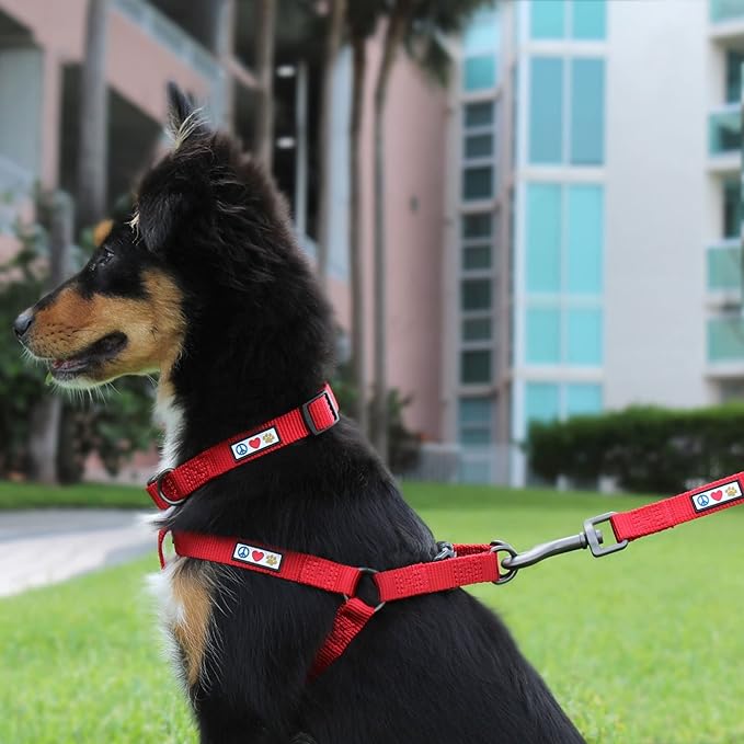 Pawtitas Solid Step-in Dog Harness – Adjustable No-Pull Vest for Puppies to Seniors, Safe & Comfortable M Lush Green