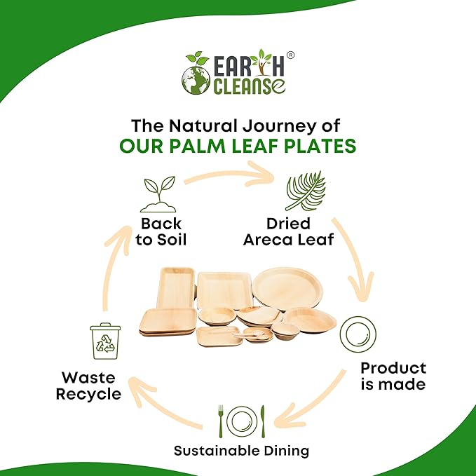 Areca Palm Leaf 10-Inch Square Compartment Plates (250 Count) – 100% Compostable, Biodegradable Like Bamboo Plates | Eco-Friendly Disposable Dinnerware | Microwave & Oven Safe
