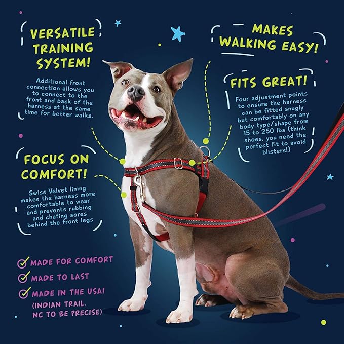 2 Hounds Design Freedom No Pull Dog Harness, Adjustable Harness and Leash Set, Easy Walking & Comfortable Control, Fits Small, Medium & Large Dogs, Solid Colors, Made in USA, 1" MD, Royal Blue