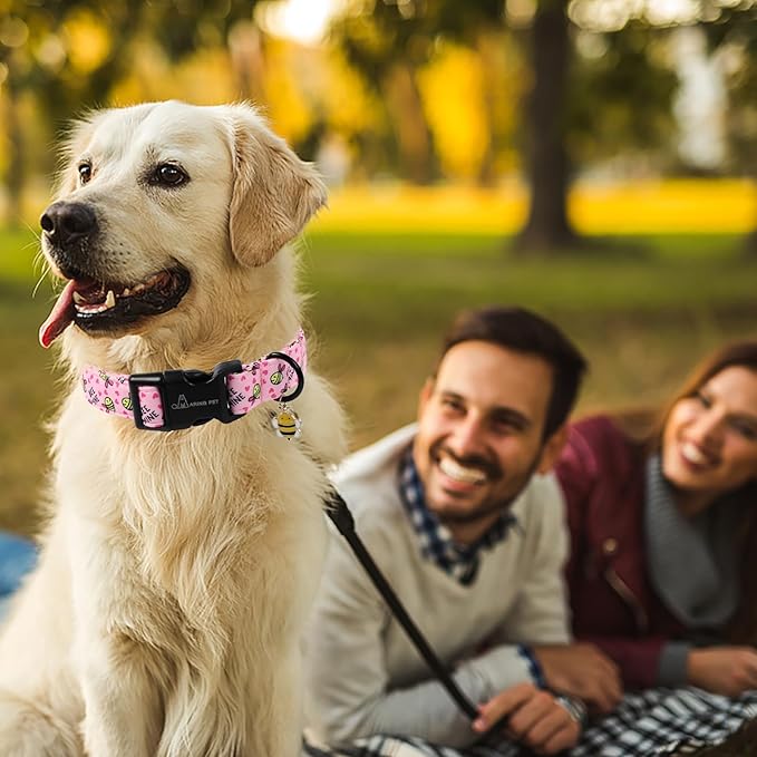 ARING PET Pink Dog Collar, Cute Yellow Bees Pet Collars for Puppy Small Medium Large Boy Girl Dogs-M