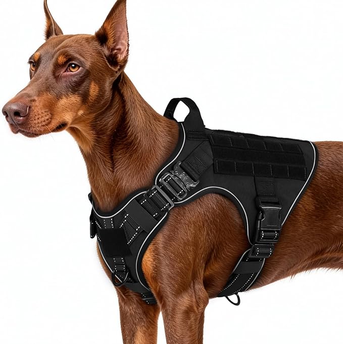 rabbitgoo Tactical Dog Harness for Large Dogs, No Pull Upgraded Reflective Heavy Duty Molle Vest with Handle, Adjustable Military Service Dog Vest for Walking Hiking Training, Black, L