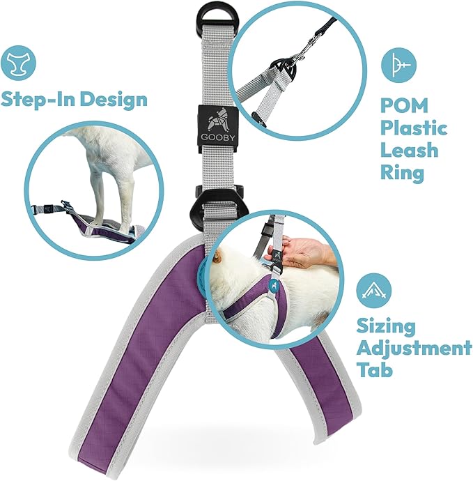 Gooby Simple Step in III Harness - Purple, Large - Small Dog Harness with Scratch Resistant Outer Vest - Soft Inner Mesh Harness for Small, Medium Dogs