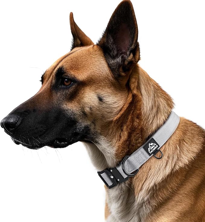 Dog Collar for Large Dogs - Adjustable, Chew Proof Nylon Collar with Metal Quick Release Buckle and D-Ring for Dog Tags (Alaska Daybreak, XL(1.5''Width, Fit 15''-23''))
