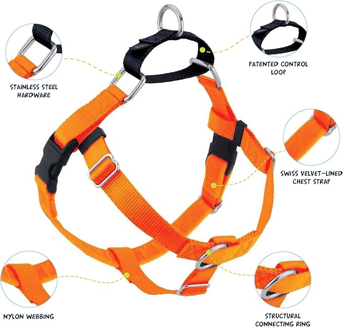 2 Hounds Design Freedom No Pull Dog Harness, Adjustable Harness and Leash Set, Easy Walking & Comfortable Control, Fits Small, Medium & Large Dogs, Solid Colors, Made in USA, 5/8" MD, Neon Orange