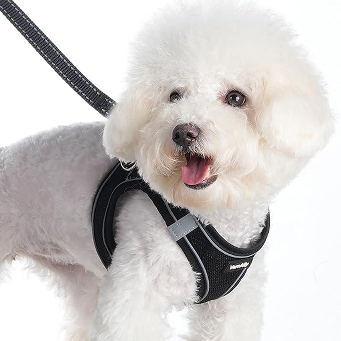 Sparkly Dog Harness Small Sized and Leash Set for Small Dogs Cats,Black S Puppy Harness, Step in Soft Dog Reflective Vest, Breathable Mesh Pet Harness. (Black, M)