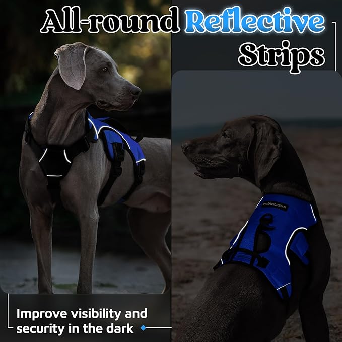 rabbitgoo Escape Proof Dog Harness, Soft Padded Full Body Pet Harness, Reflective Adjustable No Pull Vest with Lift Handle and Leash Clip for Large Dogs Walking Hiking Training, M, Blue