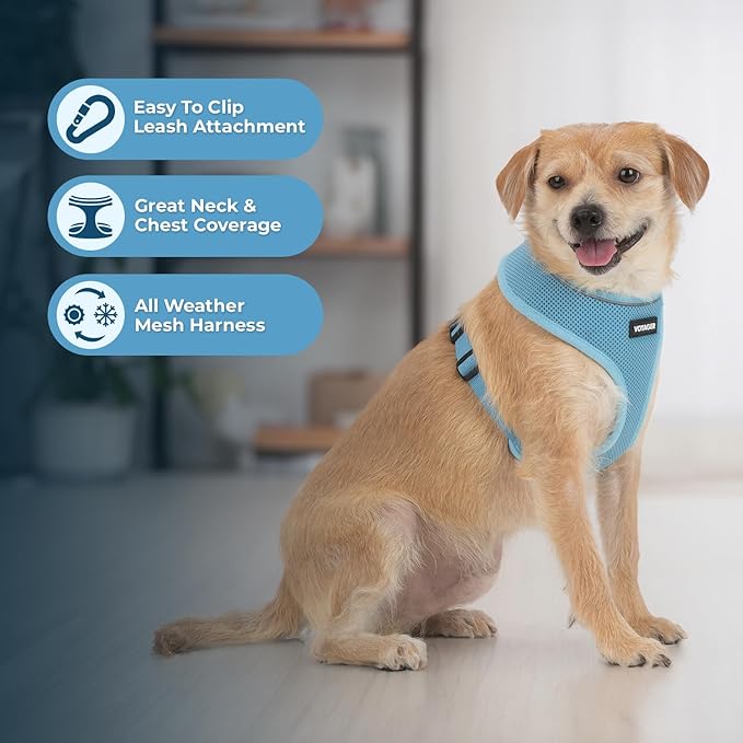Voyager Aerolite Over The Head Dog Harness, No Pull Breathable Air Mesh Vest, Quick Dry with Reflective Stitching, Adjustable Escape Resistant Harness for Small Medium Large Dogs - Blue, Small