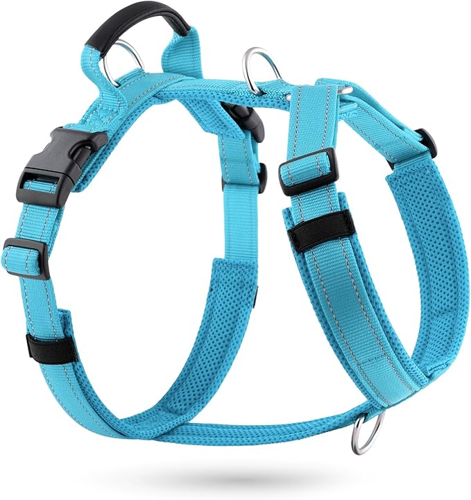 No Pull Dog Harness with Handle, Soft Mesh Padded Adjustable for Small Medium Large Dogs | Reflective Easy Walk Harness with Front Clip for Training, Running & Outdoor (Cyan, M)