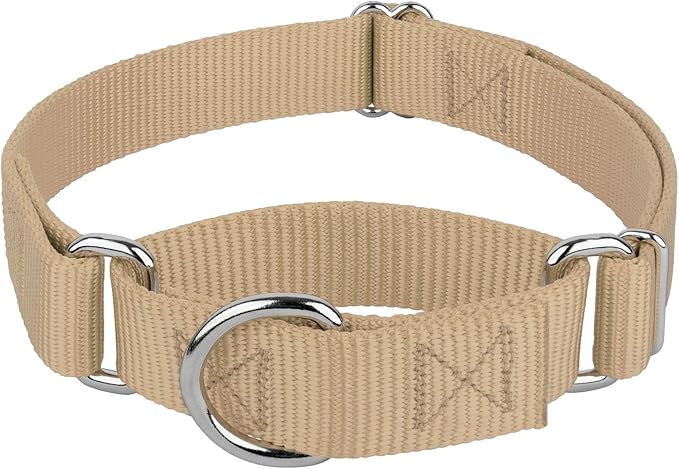 Country Brook Petz - Martingale Dog Collar - Heavy-Duty Training Collar with No Buckle - Service Dog Collar for All Pups - 10+ Warm Colors (Copper Gold, 3/8 Inch, 2XS)