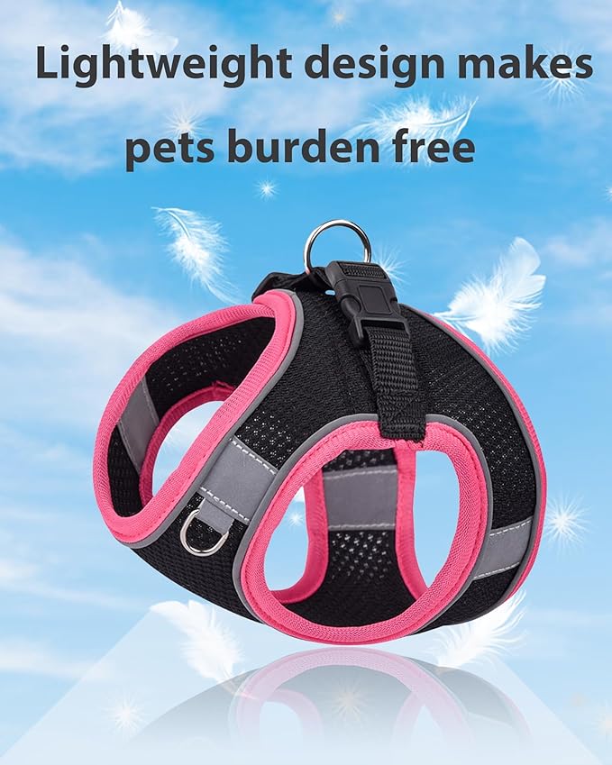 Dog Harness for Small Medium Sized Dog,Step in Puppy Harness and Leash Set Training Walking. (Black, S)