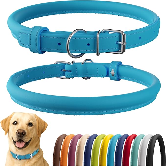 CollarDirect Rolled Leather Dog Collar, Soft Padded Round Puppy Collar, Handmade Genuine Leather Collar Dog Small Large Cat Collars 13 Colors (18-22 Inch, Light Blue Smooth)