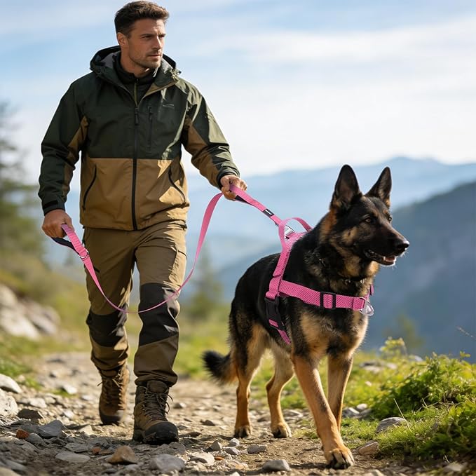 Annchwool No Pull Dog Harness with Front Clip and Easy Control Handle-Belly & Chest Adjustable Dog Harness and Leash Set for Medium Large Dogs-Heavy Duty Vest Harnesses Easy for Walking(Pink,XL)