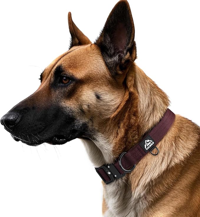Dog Collars for Small Dogs Christmas Boy Girl- Adjustable, Chew Proof Nylon Collar with Metal Quick Release Buckle and D-Ring for Dog Tags (Burgundy, S)(not Included The Pendant)