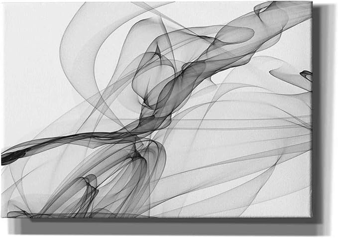 Epic Graffiti 'Abstract Black and White 18-21' by Irena Orlov, Canvas Wall Art, 26"x18"