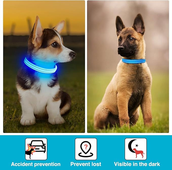 Light Up Dog Collar at Night, Led Dog Collar Adjustable, Rechargeable Waterproof, Dog Lights for Night Walking, Glow in The Dark (S, Blue)