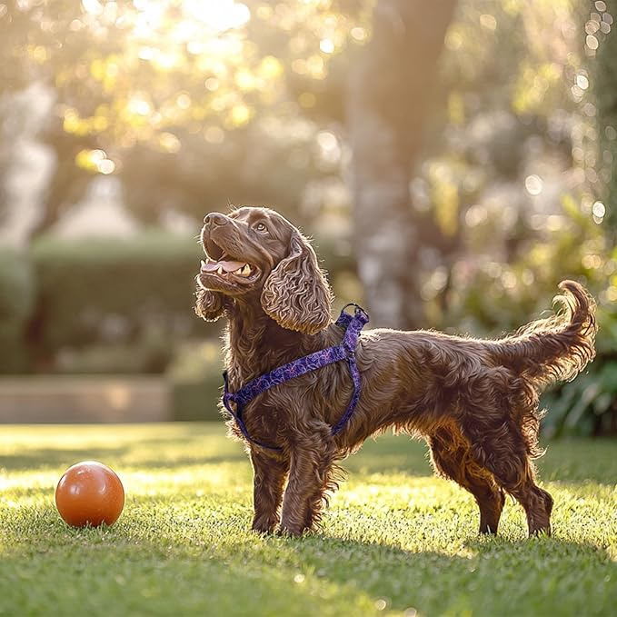 QQPETS Dog Harness Leash Set Adjustable Heavy Duty No Pull Halter Harnesses for Small Medium Large Breed Dogs Back Clip Anti-Twist Perfect for Walking