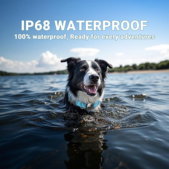 AirTag Dog Collar, IP68 Waterproof Integrated Air Tag Dog Collars with Reflective, Ultra-Durable, Comfortable Padded, Heavy Duty Dog Collars for Small Medium Large Dogs, S (10.6"-13.6"), Blue