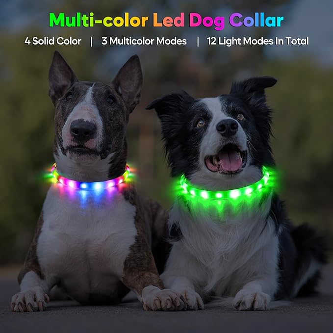 Flashseen LED Dog Collar, USB Rechargeable Glowing Lighted Up Collar, Cuttable Water-Resistant TPU Safety Collar Lights for Small Medium Large Dogs (Style 2)