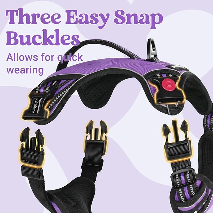 rabbitgoo Dog Harness Small Sized Dog, No Pull Pet Harness with Soft Padded Handle, Adjustable Reflective Vest with 3 Buckles, Easy Walking Harness with 2 Leash Clips, Purple, S