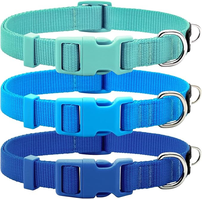 azuza 3 Pack Dog Collars Comfortable and Adjustable Nylon Dog Collars for Puppy Small Dogs, XS (8-12inch)，Green, Blue and Royal Blue