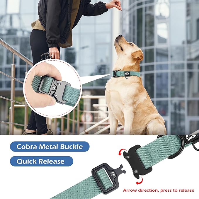 Dog Collar for Small Dogs Christmas Boy Girl - Adjustable, Chew Proof Nylon Collar with Metal Quick Release Buckle and D-Ring for Dog Tags (Florida Seaside, S)(not Included The Pendant)