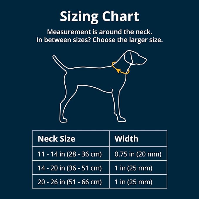 Ruffwear, Front Range Dog Collar, Adjustable Tubelok Webbing, Lightweight, Side Release Buckle, Aluminum V-Ring, Durable for Everyday Use, Basalt Gray, 14"-20"