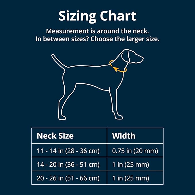 Ruffwear, Front Range Dog Collar, Adjustable Tubelok Webbing, Lightweight, Side Release Buckle, Aluminum V-Ring, Durable for Everyday Use, Wildflower, 20"-26"