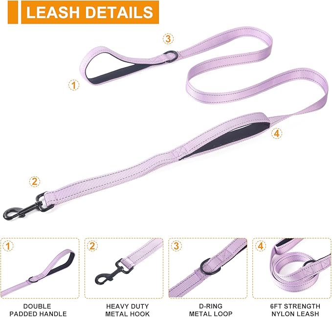 ECO-CLEAN Dog Leash for Large Dogs, Traffic Padded 2 Handles for Extra Control, 6 FT Long with Reflective Stitch for Night Walking (Purple)