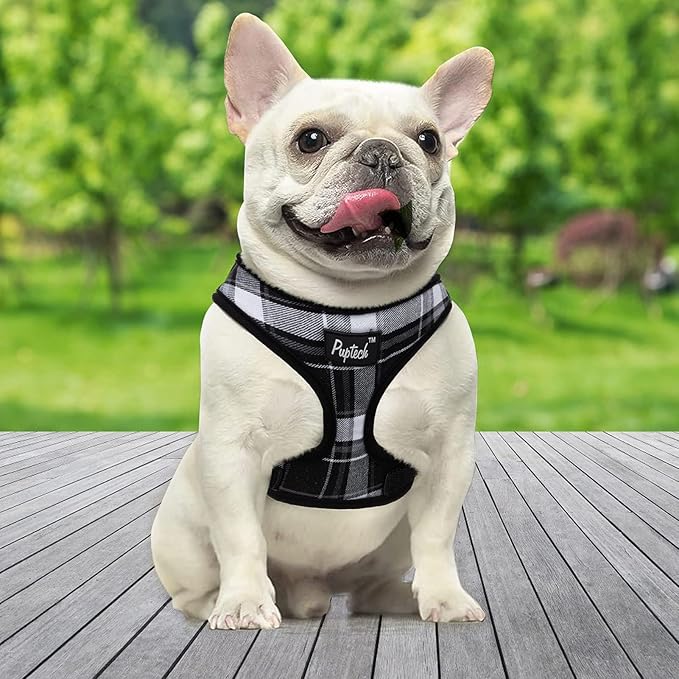 PUPTECK Soft Mesh Dog Harness and Leash Set Pet Puppy Cat Comfort Padded Vest No Pull Harnesses, Black, S