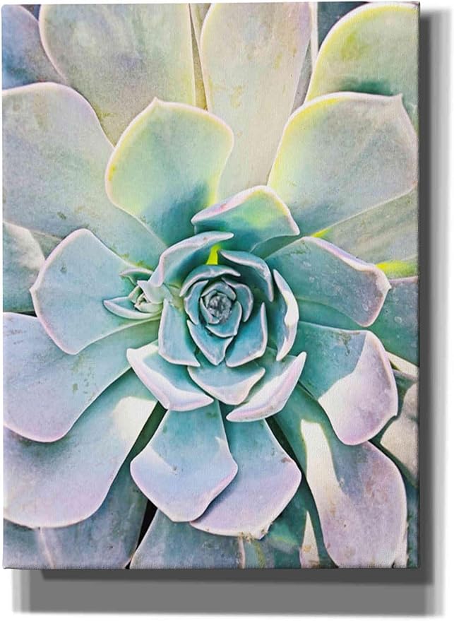 Epic Graffiti 'Unique Succulent' by Irena Orlov, Canvas Wall Art, 40"x54"