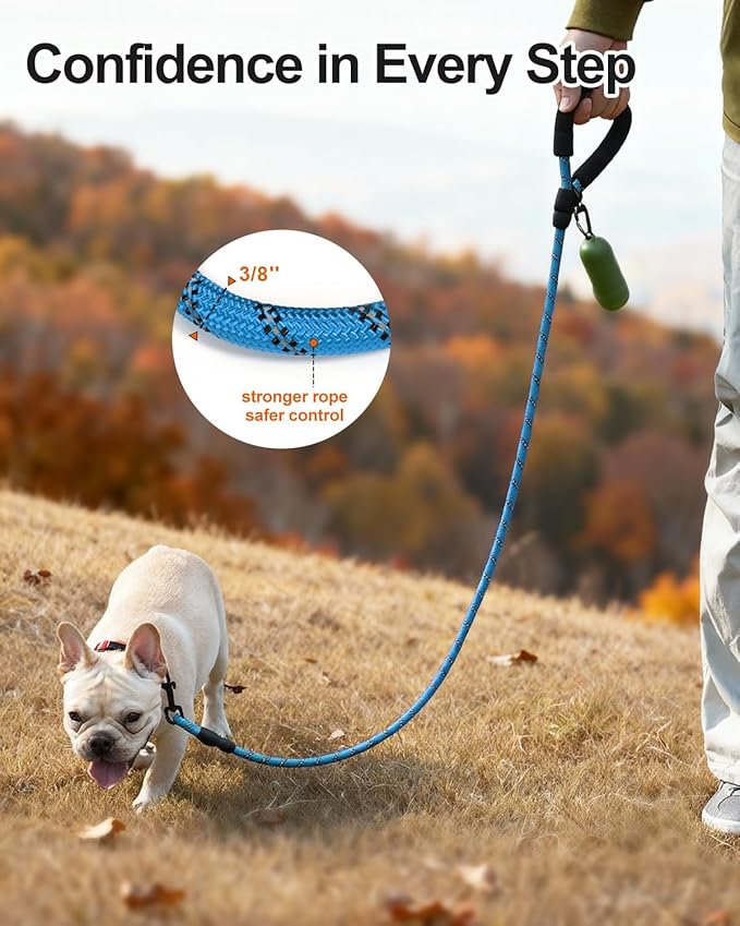 Joytale Dog Leash for Small Dogs, Heavy Duty Nylon Leashes with Comfortable Padded Handle and Highly Reflective Threads, Ideal for Walking and Training, SkyBlue, 5'×3/8‘’