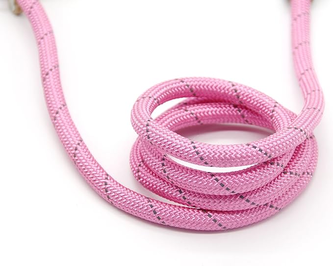 Coolrunner 5 FT Highly Reflective Nylon Dog Leash Standard Training Adjustable Pet Slip Lead for Small and Medium Dogs(10-80 lb)