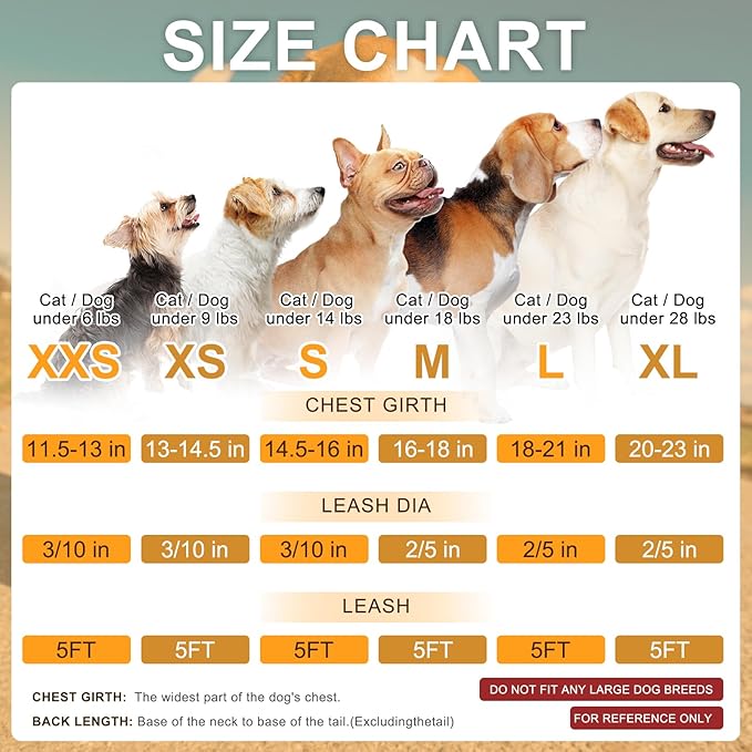BEAUTYZOO Small Dog Harness and Leash Set,Step in No Choke No Pull Soft Mesh Dog Harnesses Reflective for Extra-Small Medium Puppy Dogs and Cats, Plaid Dog Vest Harness for XS S Pets, Grey XXS