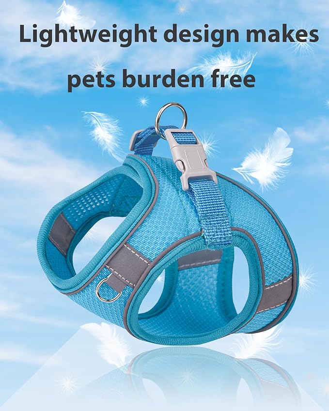 Dog Harness for Small Medium Sized Dog,Step in Puppy Harness and Leash Set Training Walking. (Blue, L)