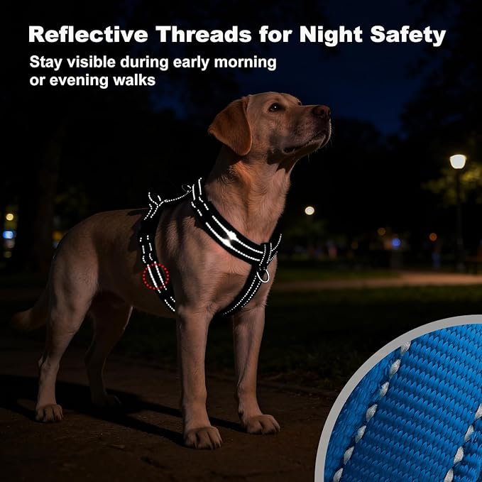 No Pull Dog Harness with Handle, Soft Mesh Padded Adjustable for Small Medium Large Dogs | Reflective Easy Walk Harness with Front Clip for Training, Running & Outdoor (Royal Blue, XS)
