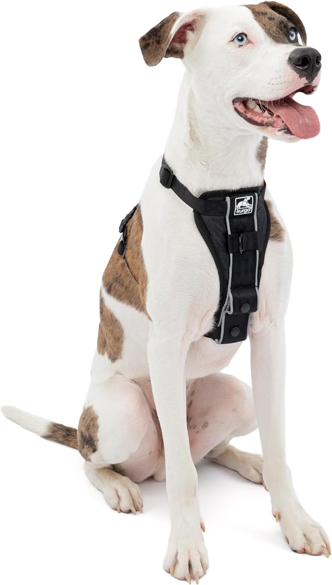 Kurgo Tru-Fit Smart Dog Walking Harness - Comfortable Fit - Adjustable Harness - Reflective Pet Wear - Quick Strap Release - Daily Walk Accessory - Includes Seat Belt Loop - Black - Medium