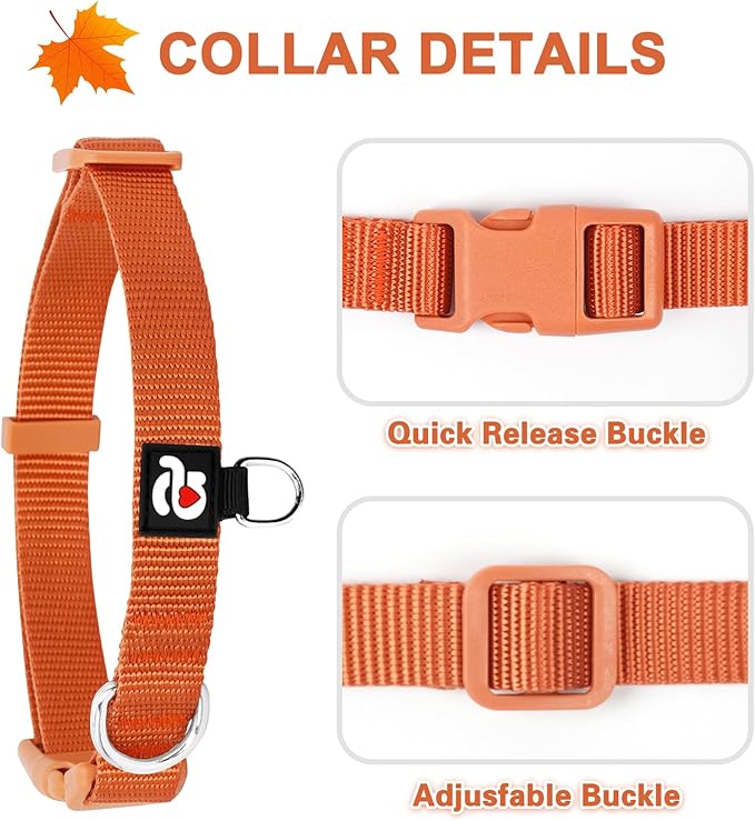 azuza 3 Pack Fall Dog Collars Comfortable and Adjustable Nylon Dog Collars for Small Dogs, S (11-16inch)， Ginger Yellow, Rust Orange and Latte Brown