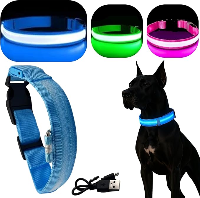 Light Up Dog Collar ??Reflective, Adjustable & Rechargeable Electronic Glow Pet Collars ??Bright, Comfortable, High Visibility LED Dog Collar for Night Safety, Outdoor Walk, Flashing Fun, Blue, Medium