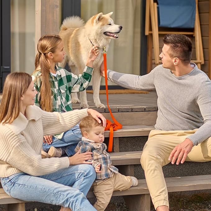 Viper Biothane K9 Working Dog Leash Waterproof Lead for Tracking Training Schutzhund Odor-Proof Long Line with Solid Brass Snap for Puppy Medium and Large Dogs, 20ft Hunter Orange