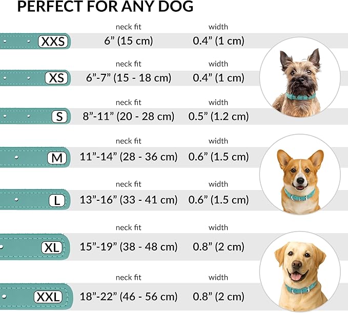 CollarDirect Rolled Leather Dog Collar, Soft Padded Round Puppy Collar, Handmade Genuine Leather Collar Dog Small Large Cat Collars 13 Colors (15-19 Inch, Mint Green Textured)