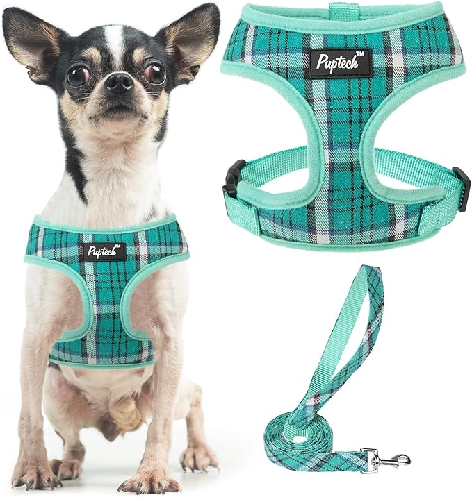 PUPTECK Soft Mesh Dog Harness and Leash Set Pet Puppy Cat Comfort Padded Vest No Pull Harnesses, Green, XS