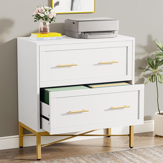Tribesigns Modern White 2 Drawer File Cabinet, Lateral Filing Cabinet for Letter/Legal/A4 Size, Wood File Storage Cabinets Printer Stand with Storage for Home, Office, White and Gold