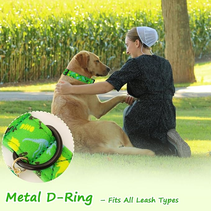Dinosaur Dog Collar竊똆reen with Multicolor Dino Pattern Handmade Cotton Collar for Small Medium Large Dogs, Adjustable & Comfortable Puppy Collar for Daily Walks, Park Adventures or Photos-XS