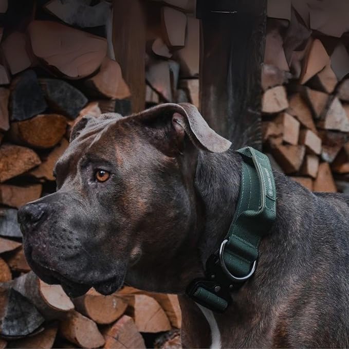Spark Paws Tactical Dog Collar - Heavy Duty, Premium Quality, Thick and Durable for Large and Medium Dogs - Solid Green - L - 1.5"