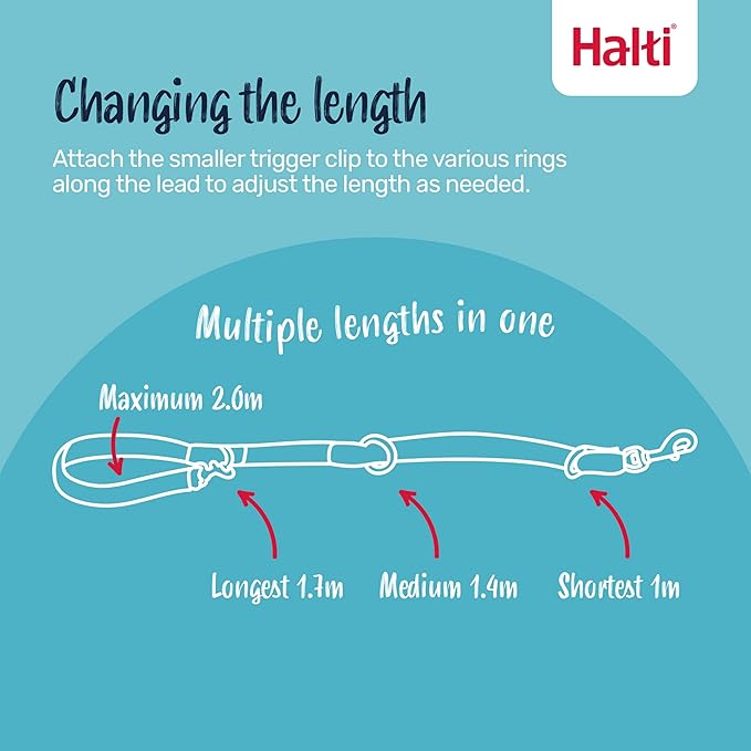 Halti Training Leash - Multifunctional Double-Ended Dog Leash, Ideal for Anti-Pulling Dog Training. Lightweight & Durable. Suitable for Medium to Large Dogs & Puppies (Size Large, Burnt Orange, 2m)