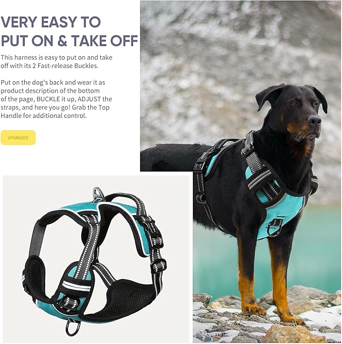 HEELE Dog Harness, No Pull Adjustable Padded Reflective Harness for Small Medium Large Dogs with Handle for Walking Training, Turquoise, XL