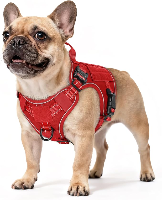rabbitgoo Tactical Dog Harness Small Medium Sized, No Pull Upgraded Reflective Heavy Duty Molle Vest with Handle, Adjustable Military Service Dog Vest for Walking Hiking Training, Red, S