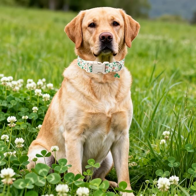 DOGWONG St Patrick's Dog Collar, Green Clover Pet Collar Cotton Flower Shamrock Pet Collar Cute Puppy Collar Adjustable Pet Dog Collars for Small Dogs